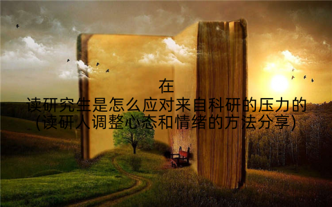在读研究生是怎么应对来自科研的压力的(读研人调整心态和情绪的方法分享)