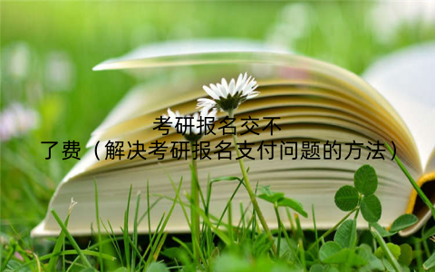 考研报名交不了费（解决考研报名支付问题的方法）