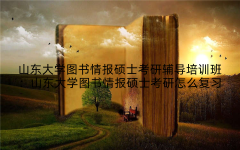 山东大学图书情报硕士考研辅导培训班：山东大学图书情报硕士考研怎么复习