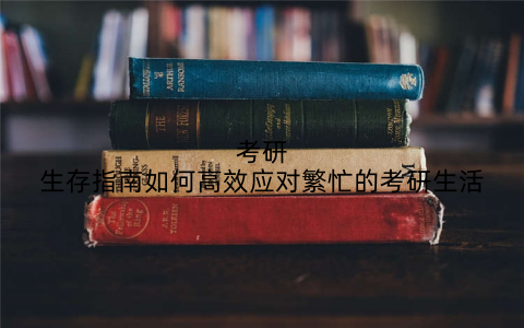 考研生存指南如何高效应对繁忙的考研生活