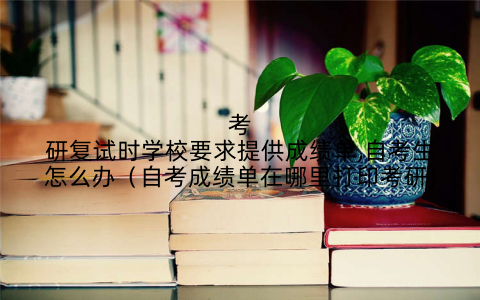 考研复试时学校要求提供成绩单,自考生怎么办（自考成绩单在哪里打印考研)