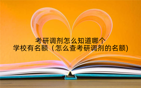 考研调剂怎么知道哪个学校有名额（怎么查考研调剂的名额)