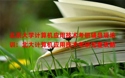北京大学计算机应用技术考研辅导班培训：北大计算机应用技术考研完整攻略