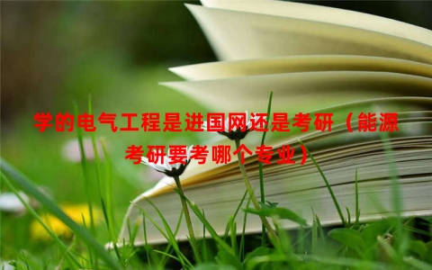学的电气工程是进国网还是考研（能源考研要考哪个专业）