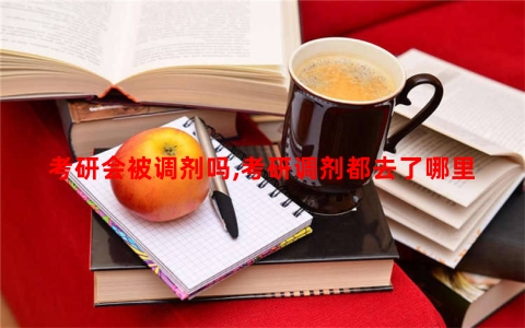 考研会被调剂吗,考研调剂都去了哪里