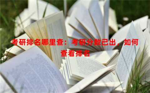 考研排名哪里查：考研分数已出，如何查看排名