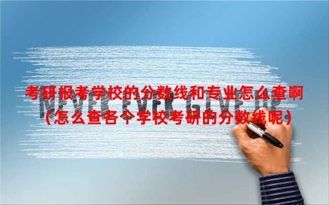 考研报考学校的分数线和专业怎么查啊（怎么查各个学校考研的分数线呢）