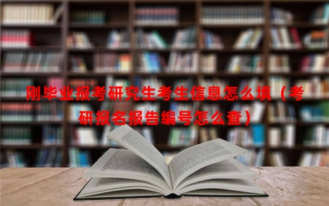 刚毕业报考研究生考生信息怎么填（考研报名报告编号怎么查）