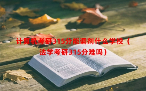 计算机考研315分能调剂什么学校（法学考研315分难吗）