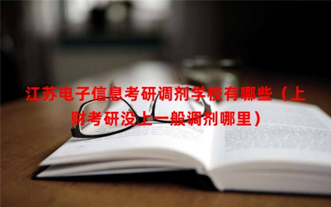 江苏电子信息考研调剂学校有哪些（上财考研没上一般调剂哪里）